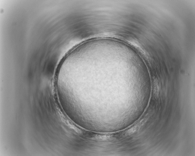 X0000087061278200704251020