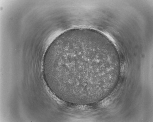 X0000087061279200704251020