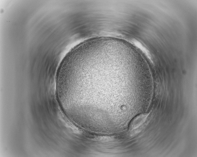 X0000087061280200704251020