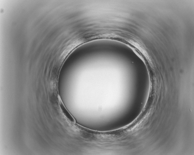 X0000087061281200704251020