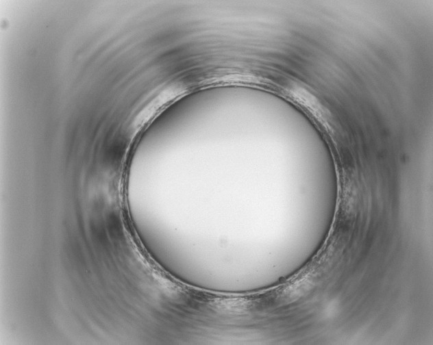 X0000087061282200704251020