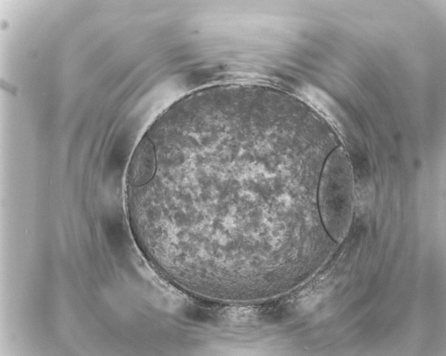 X0000087061283200704251020