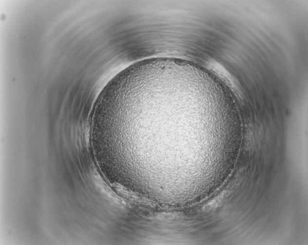 X0000087061284200704251020