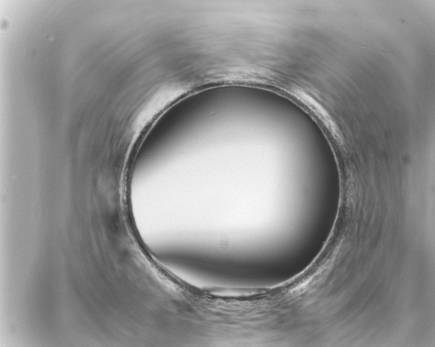 X0000087061285200704251020