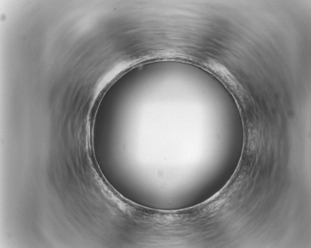 X0000087061286200704251020