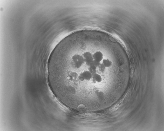 X0000087061287200704251020