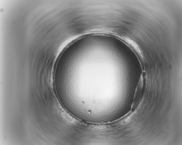 X0000087061288200704251020