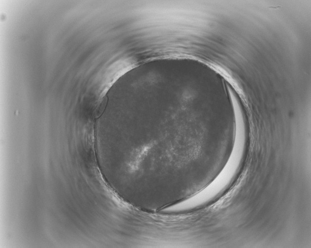 X0000087061289200704251020