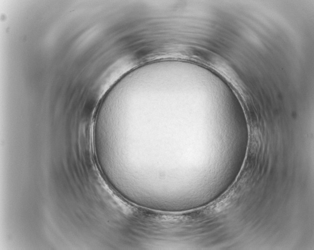 X0000087061290200704251020