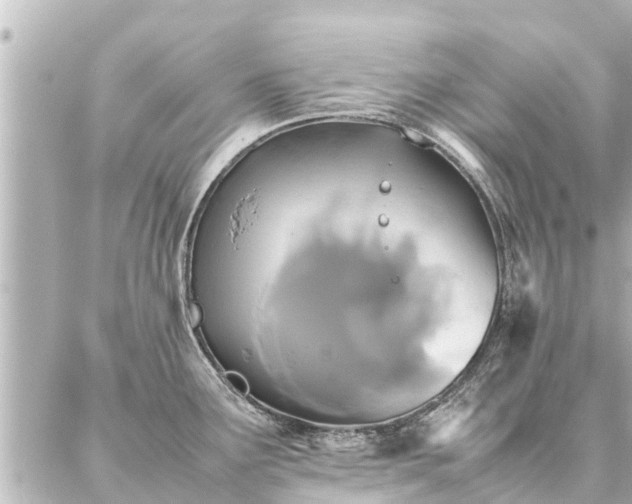 X0000087061291200704251020