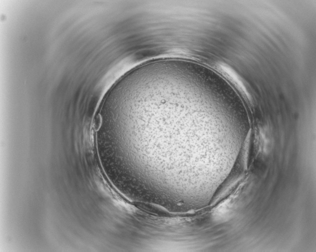 X0000087061292200704251020