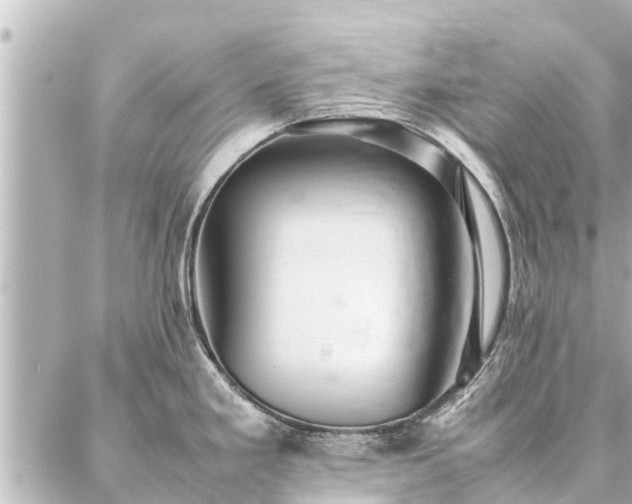 X0000087061293200704251020