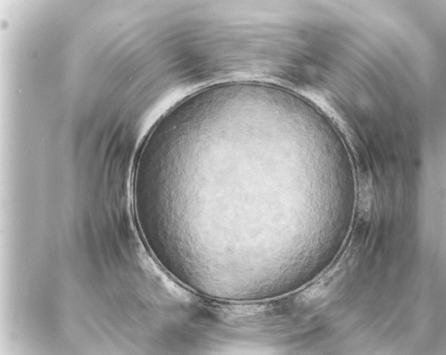 X0000087061294200704251020