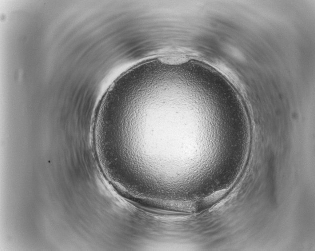 X0000087061296200704251020