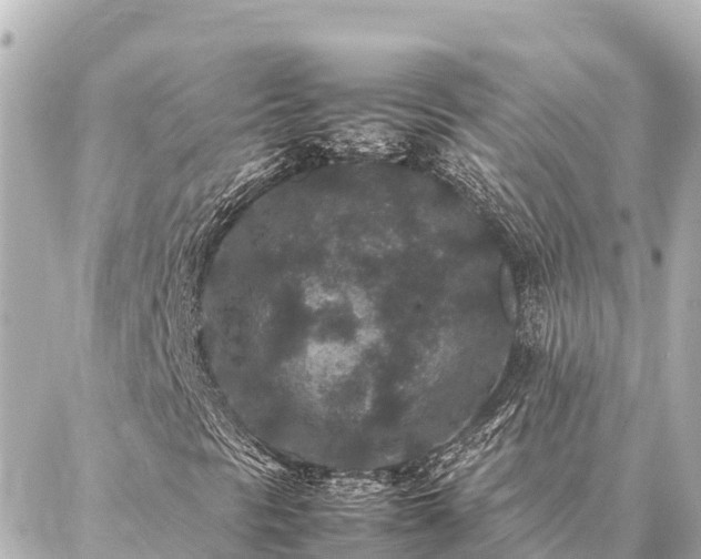 X0000087061297200704251019