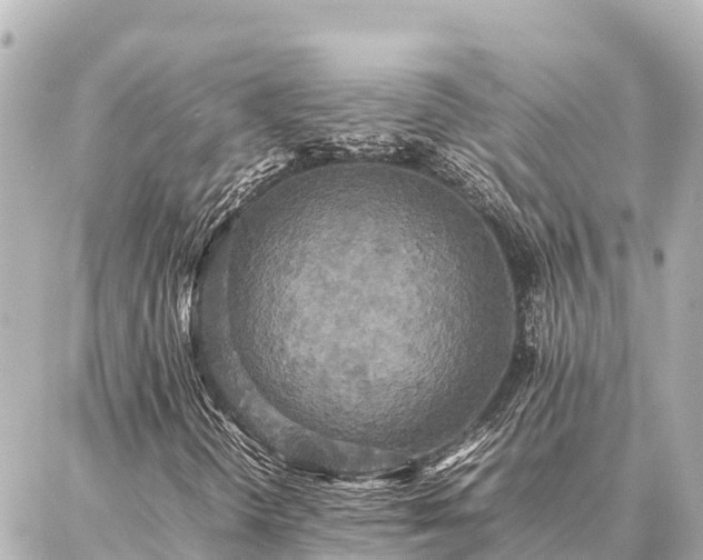 X0000087061298200704251019