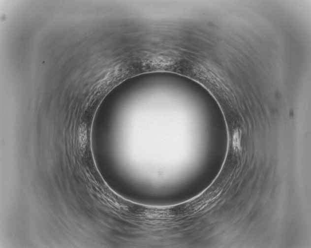 X0000087061299200704251019