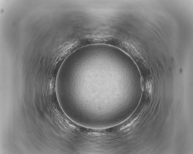 X0000087061300200704251019