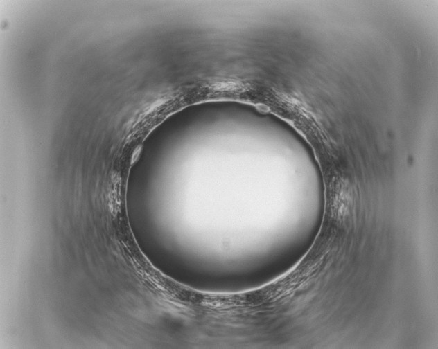 X0000087061301200704251019