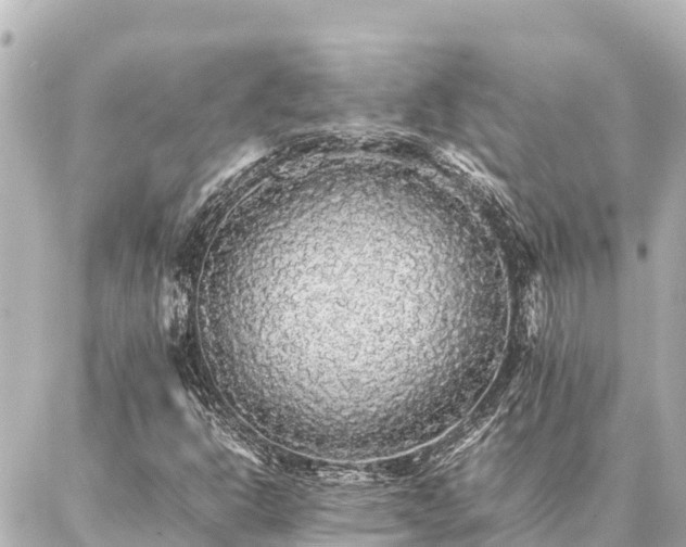 X0000087061302200704251019