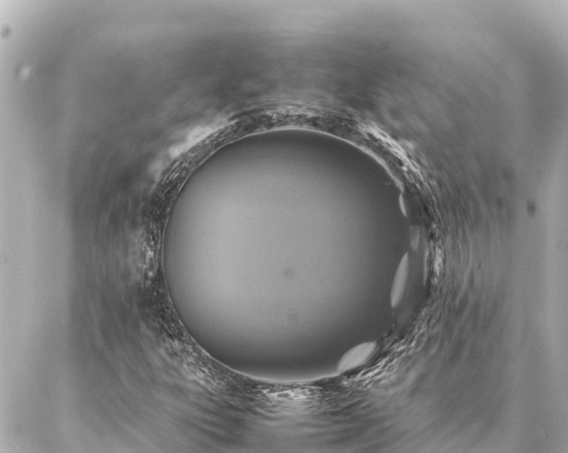 X0000087061303200704251019