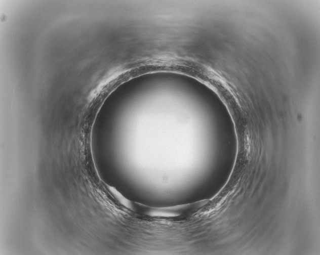 X0000087061304200704251019