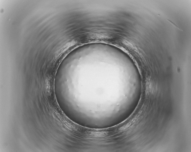 X0000087061305200704251019