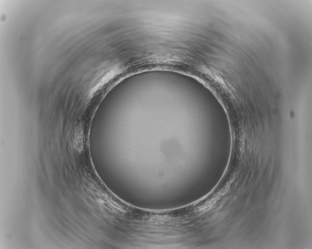 X0000087061306200704251019