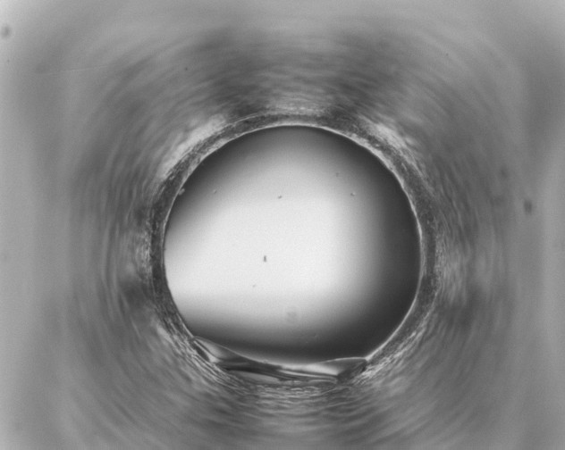 X0000087061307200704251019