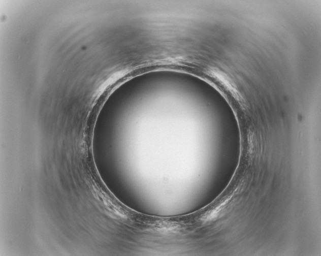 X0000087061308200704251019