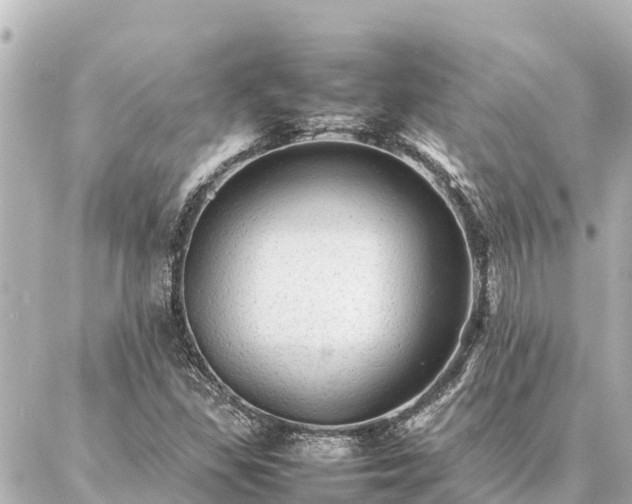 X0000087061309200704251019