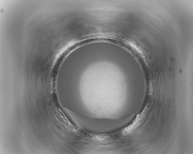 X0000087061310200704251019