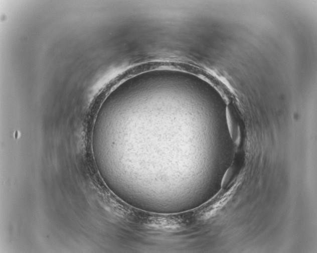 X0000087061311200704251019