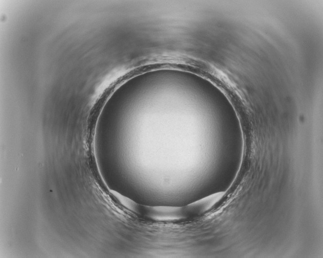 X0000087061312200704251019