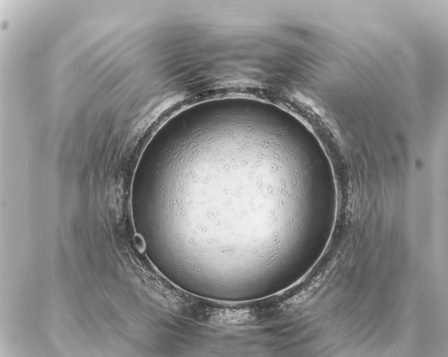 X0000087061313200704251019