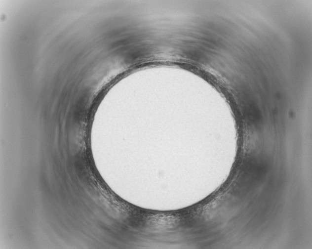 X0000087061314200704251019