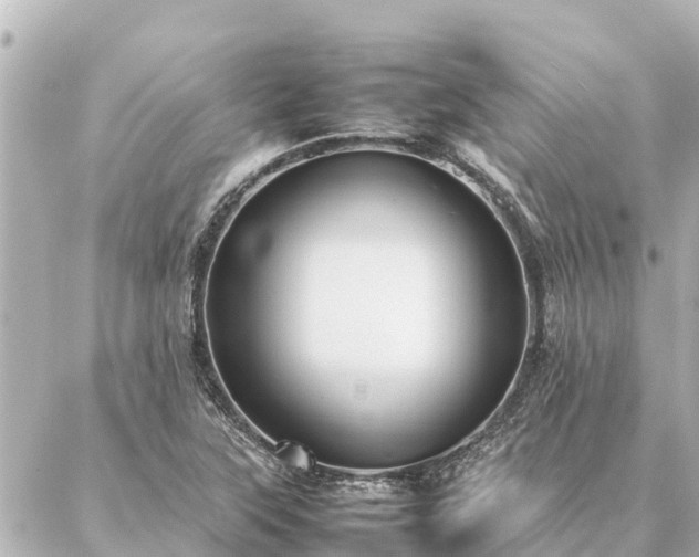 X0000087061315200704251019