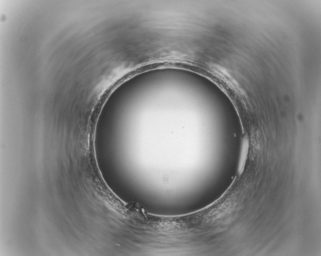 X0000087061316200704251019