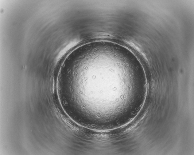 X0000087061317200704251019