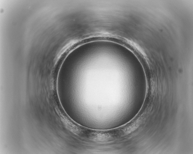 X0000087061318200704251019