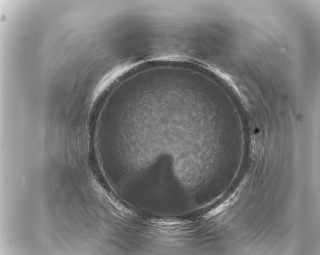 X0000087061319200704251019