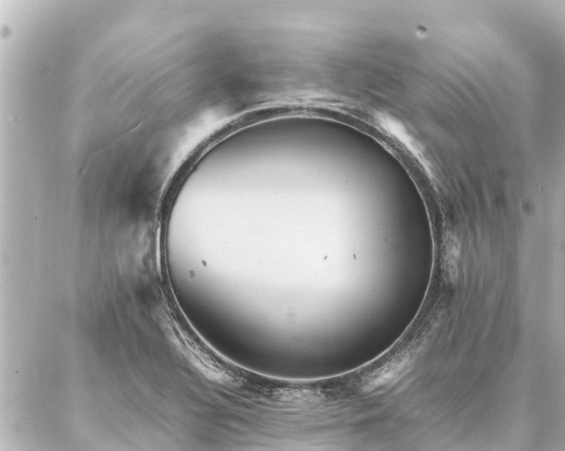 X0000087061320200704251019