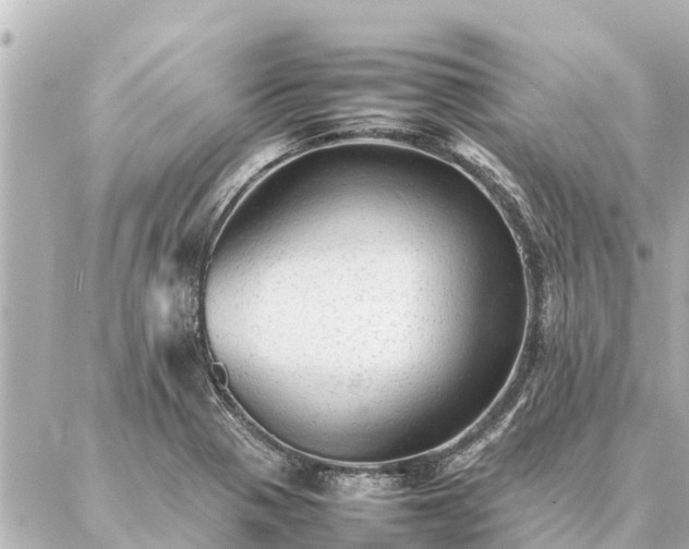 X0000087061321200704251019