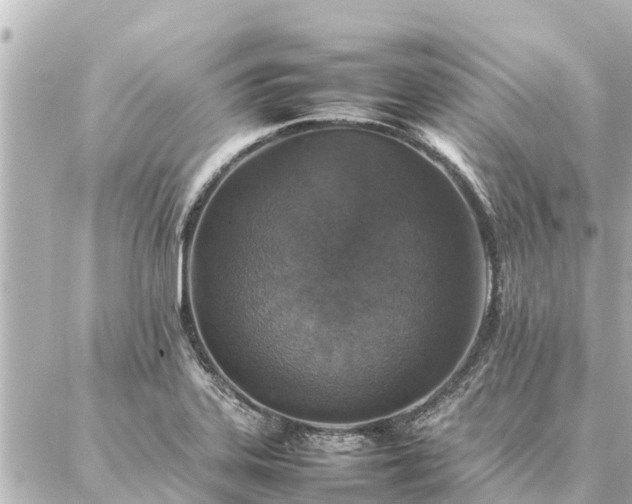 X0000087061323200704251019