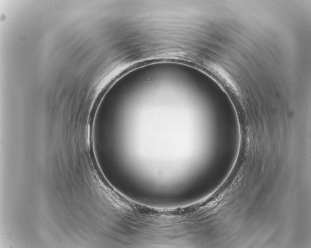 X0000087061324200704251019