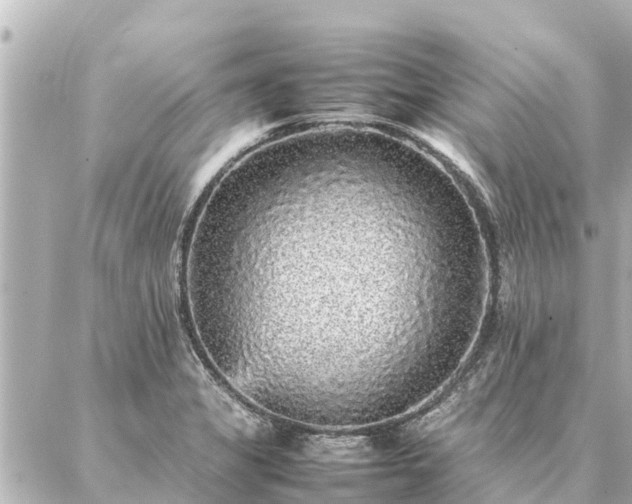 X0000087061325200704251019