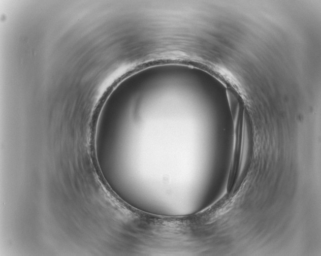 X0000087061326200704251019