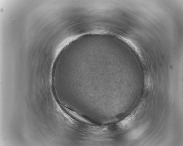 X0000087061327200704251019