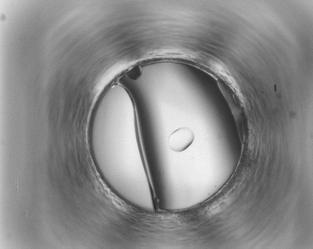 X0000087061328200704251019