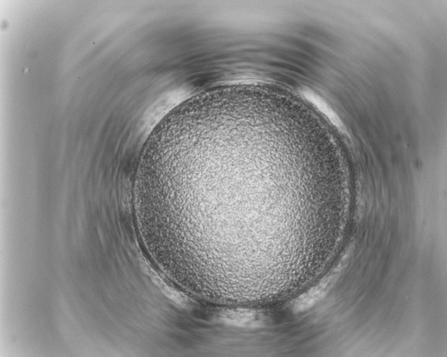 X0000087061329200704251019